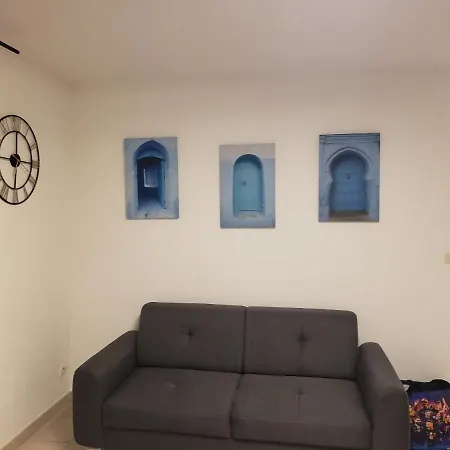 Les Lys Magiques 公寓 卡尔卡松